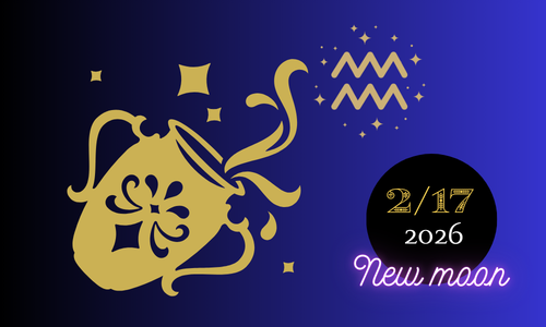 2026年2月17日水瓶座新月