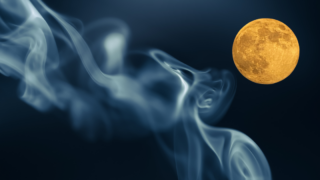 月と香りの文化｜香と橘から読み解く日本人の「気配」の感性