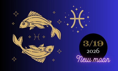 2026年3月19日 魚座新月